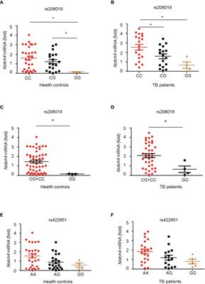 Polymorphisms and gene expression of Notch4 in pulmonary tuberculosis